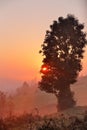 Red Sunrise. Foggy morning. Misty rural hills. Royalty Free Stock Photo