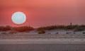 Red sky and setting sun at the beach, Galveston, Texas