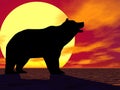Red Sunset Bear Royalty Free Stock Photo