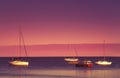 Red sunset over the blue sea, purple sky and yachts in the parking lot. Summer sea scenic landscape in the beautiful evening Royalty Free Stock Photo