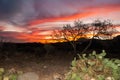 Red sunset over stone desert in Texas, Big Bend National Park Royalty Free Stock Photo