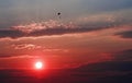 Red sunset with paraglider