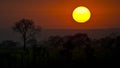 A red sunset at Piquiri river, in Pantanal, Brazil. Royalty Free Stock Photo