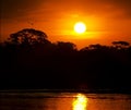 A red sunset at Piquiri river, in Pantanal, Brazil. Royalty Free Stock Photo