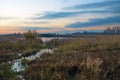 Landscape of sunset in wetlands Royalty Free Stock Photo