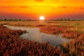 Sunset over pond in steppe Royalty Free Stock Photo