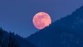 Red super moon rising over forest in blue evening sky at full-moon Time lapse