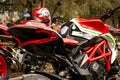 Red superbikes with green leaves on the back out of focus