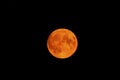 Red supermoon with its craters in the dark night