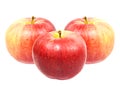 Red sweet apples Royalty Free Stock Photo