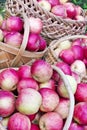 Red sweet apples in baskets Royalty Free Stock Photo