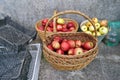 Red sweet apples in baskets and ampty plastic boxes near rural Royalty Free Stock Photo