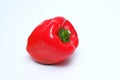 Red Sweet Bell Pepper, Capsicum annum Royalty Free Stock Photo