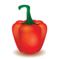 Red Sweet Bell Pepper. Fresh paprika on white background.