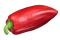 Red bell pepper Grueso de Plaza