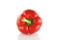 Red sweet bell pepper isolated on white background. One sweet bell pepper. Close-up Royalty Free Stock Photo