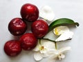 Red Sweet big Plums With orchid on White Plate Royalty Free Stock Photo