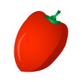 Red Sweet Bulgarian Bell Pepper. Paprika Isolated Royalty Free Stock Photo