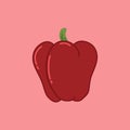 Red Sweet Bulgarian Bell Pepper. Paprika Vector Illustration