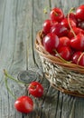 Red sweet cherries Royalty Free Stock Photo