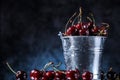 Red sweet cherries close up in a metal bucket on a dark and blue background. Summer taste. Royalty Free Stock Photo