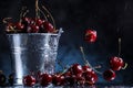 Red sweet cherries in a metal bucket on a dark and blue background. Summer taste. Fresh berries under the water drops. Royalty Free Stock Photo