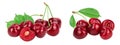 red sweet cherry isolated on white background with full depth of field Royalty Free Stock Photo