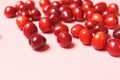 Red sweet cherry scattered on a pink background