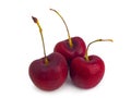 Red sweet cherry on white background. clipping path Royalty Free Stock Photo