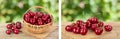 red sweet cherry in a wicker basket on wooden table isolated on white background with full depth of field Royalty Free Stock Photo