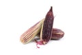 Red sweet corn or Siam Ruby Queen can be eaten fresh isolated on a white background Royalty Free Stock Photo