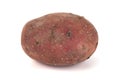 Red sweet large potato close up isolated on white background Royalty Free Stock Photo