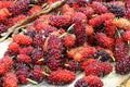 Red sweet mulberry fruits Morus rubra