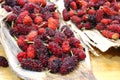 Red sweet mulberry fruits Morus rubra