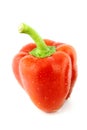 Red sweet pepper Royalty Free Stock Photo