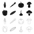 Red sweet pepper, green cucumber, garlic, cabbage. Vegetables set collection icons in black,outline style vector symbol Royalty Free Stock Photo