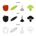 Red sweet pepper, green cucumber, garlic, cabbage. Vegetables set collection icons in cartoon,black,outline style vector Royalty Free Stock Photo