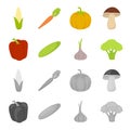 Red sweet pepper, green cucumber, garlic, cabbage. Vegetables set collection icons in cartoon,monochrome style vector Royalty Free Stock Photo