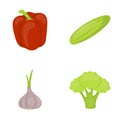 Red sweet pepper, green cucumber, garlic, cabbage. Vegetables set collection icons in cartoon style vector symbol stock Royalty Free Stock Photo