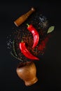 Red sweet peppers and spices on a black background. Royalty Free Stock Photo