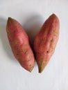 Red sweet potato is a type of sweet potato & x28;Ipomoea Batatas& x29; which belongs to the Convolvulaceae family Royalty Free Stock Photo