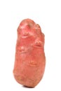 Red sweet potato Royalty Free Stock Photo