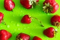 Red sweet ripe strawberry berry on green matte background with water drops Royalty Free Stock Photo