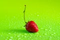 Red sweet ripe strawberry berry on green matte background with water drops