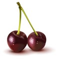 Red sweet ripe two cherry berry