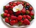 Red Sweet Strawberry desert With orchid on White Plate Royalty Free Stock Photo