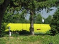 Red swing yellow canola Quebec summer day