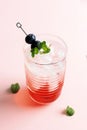 Red Syrup with ICe Cubed, Topping with Blueberry and Mint Leaf Royalty Free Stock Photo