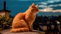 A red tabby cat sits on the roof of a house in Paris and looks at the moon, a beautiful view. Generative AI Royalty Free Stock Photo