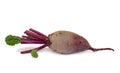 Red table beet  with leafs on white background Royalty Free Stock Photo